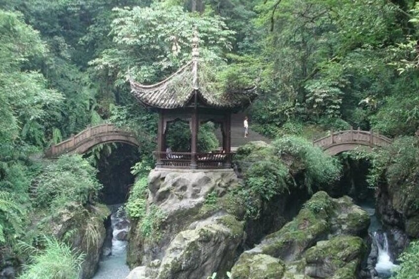 Private Full Day Emei Shan Tour in Your Way
