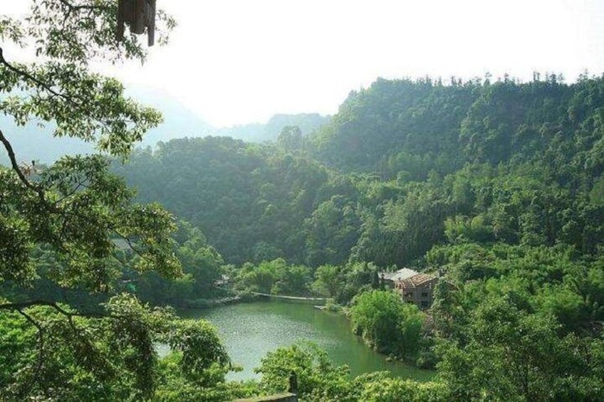 Private Full Day Emei Shan Tour in Your Way