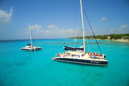 Catamaran en snorkelcruise bij Carlisle Bay