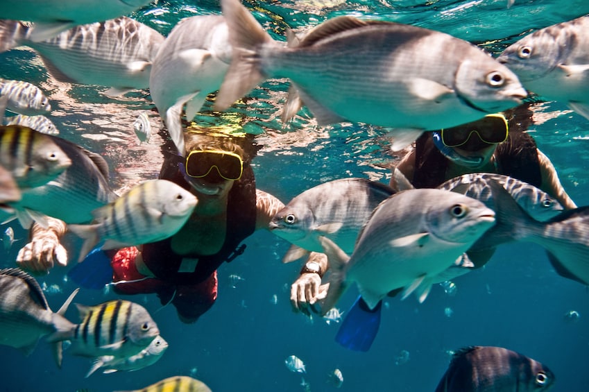 Sun, Sand & Snorkeling