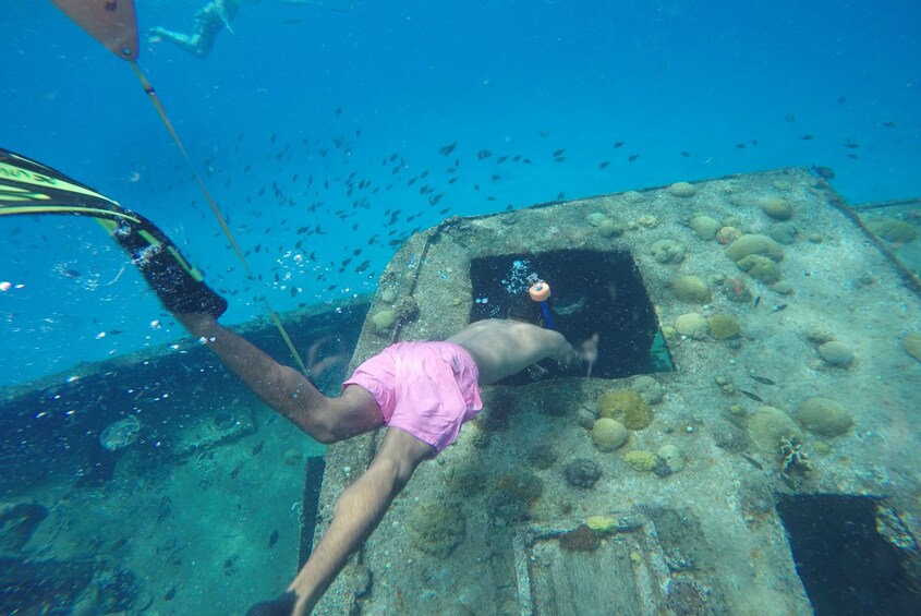 Ultimate Snorkeling & Bridgetown Shopping