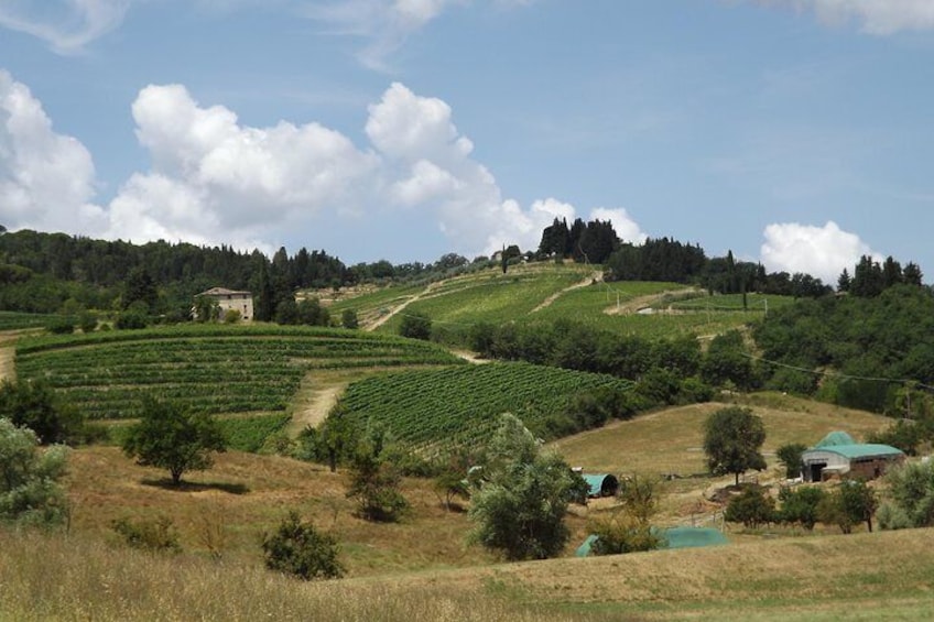 Quad Tour ATV Adventure in Chianti. Lunch and Wine Tasting. Open Top Van