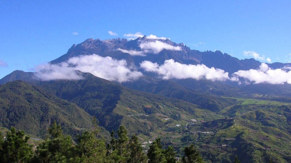 overlooking the green and mountainous landscape in Kota Kinabalu