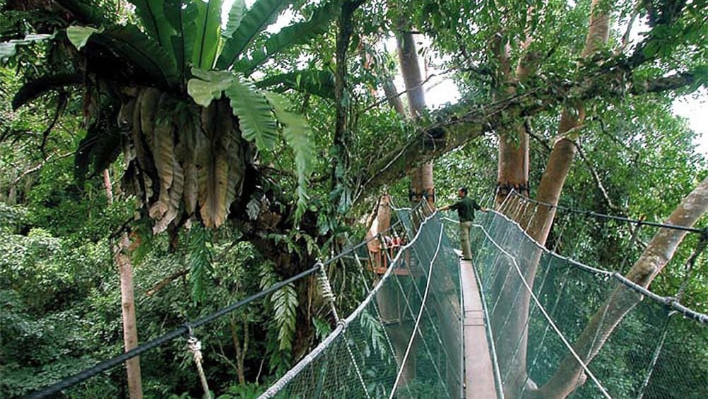 walking across a narrow bridge secured by nets in Kota Kinabalu