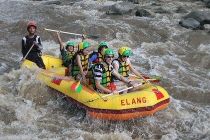 Rafting tour on the Elo River with English/France/Italian/Dutch guide