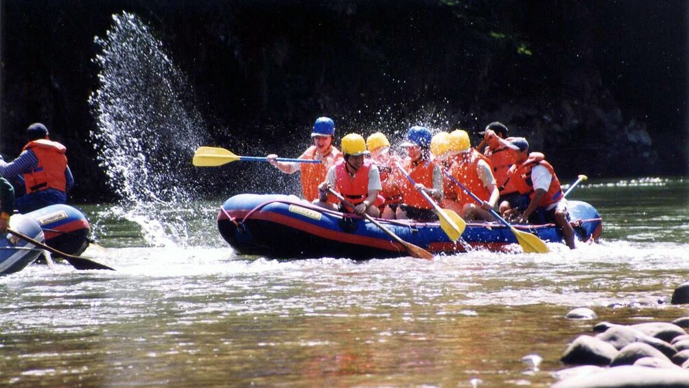 rafters splashing water with paddles in Kota Kinabalu