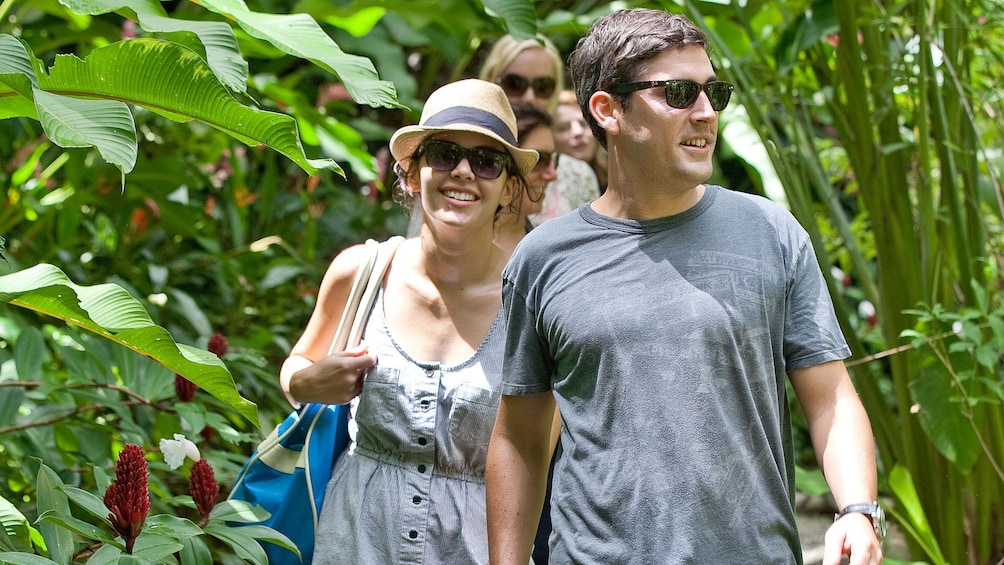 group walking in the wilderness in single file line in Saint Lucia