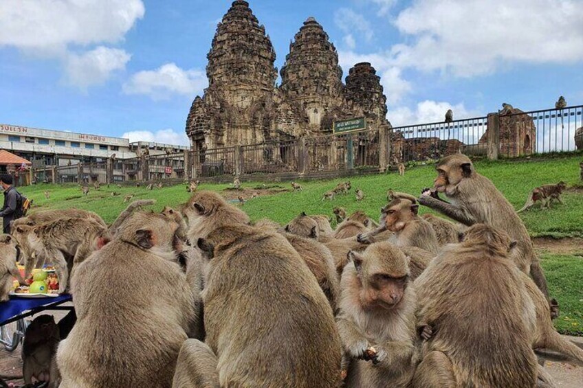 Explore Phra Prang Sam Yot, an ancient Khmer temple known for its three connected prangs and the playful monkeys that inhabit the area.