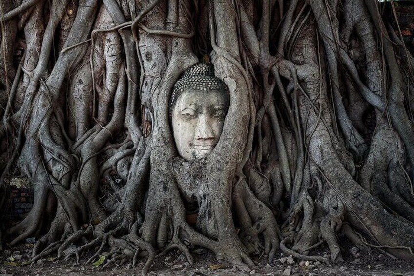 Wat Phra Mahathat, Thailand, was a royal Temple of the Ayutthaya Kingdom.