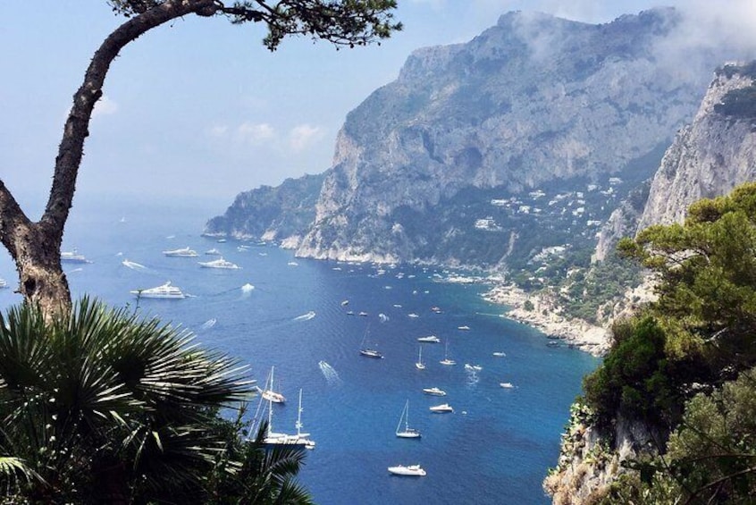 Small Group Tour : Capri Island and Blue Grotto from Naples