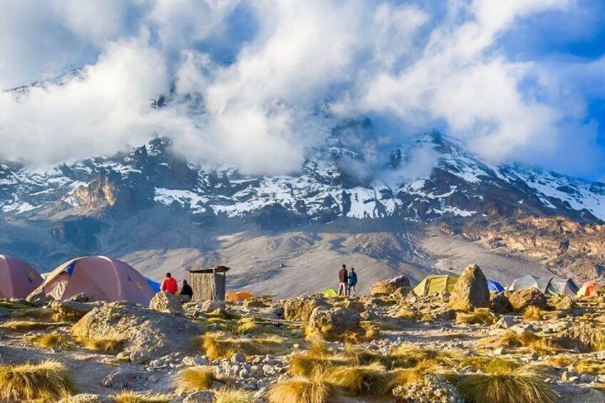 6-Day Private Guided Hiking Tour to Kilimanjaro Umbwe Route