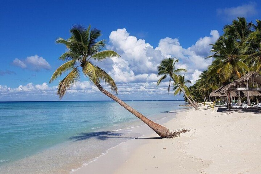All-inclusive experience in Isla Saona, from Santo Domingo.
