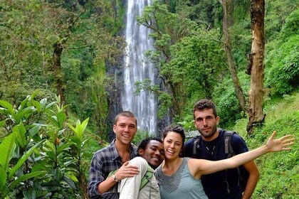  Cataratas de Materuni y recorrido cultural cafetero | BURIGI CHATO SAFARIS...