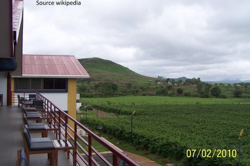 Sula Vineyards Day tour from Mumbai