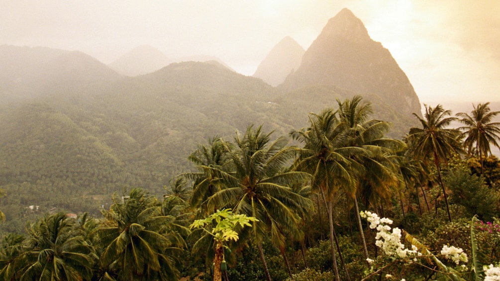 looking over the tropical mountainous landscape in Saint Lucia