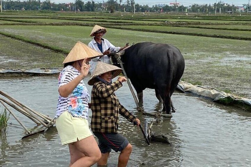 Experience Buffalo riding & farming w Local Farmer