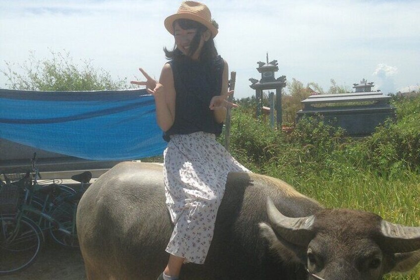 Experience Buffalo riding & farming w Local Farmer