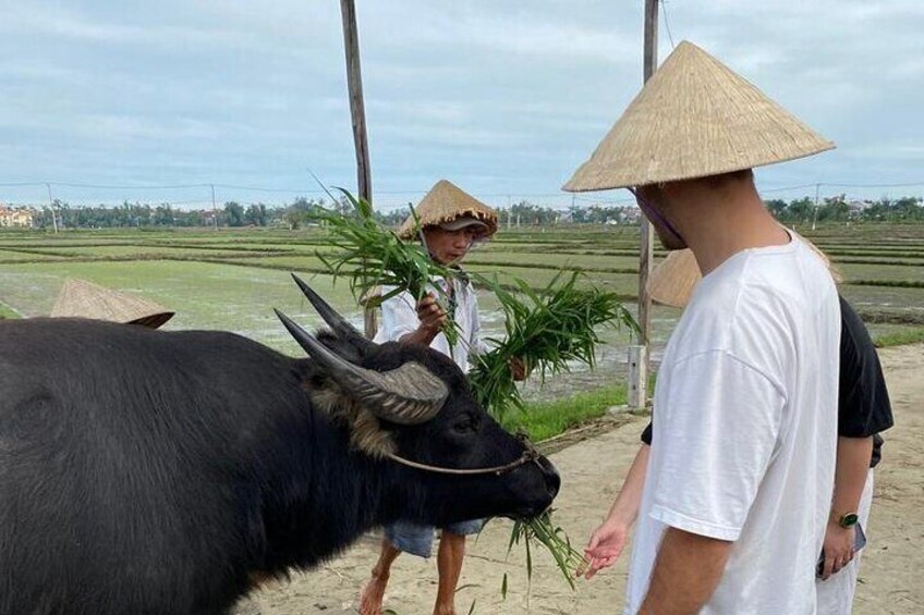 Experience Buffalo riding & farming w Local Farmer