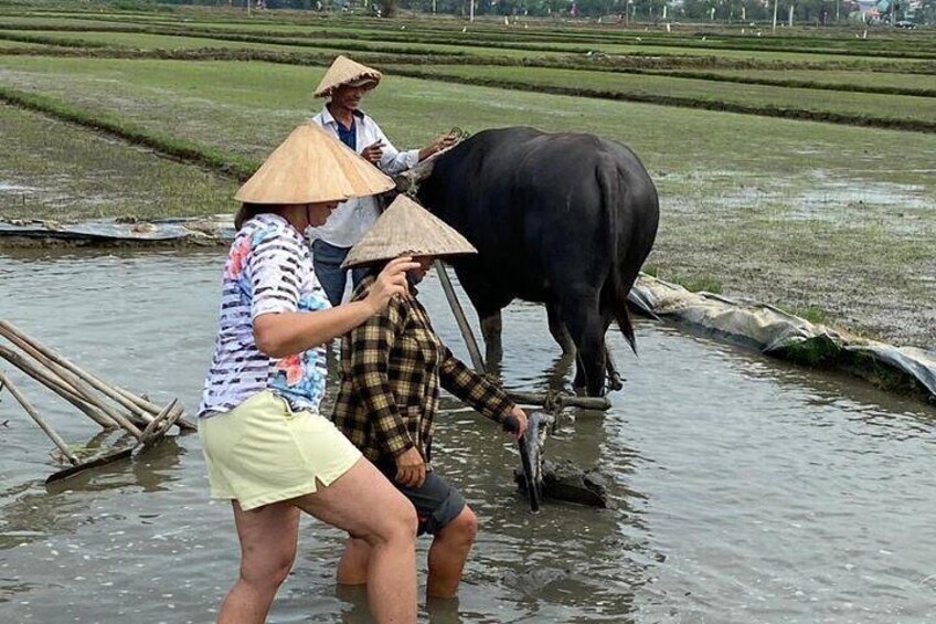 Experience Buffalo riding & farming w Local Farmer
