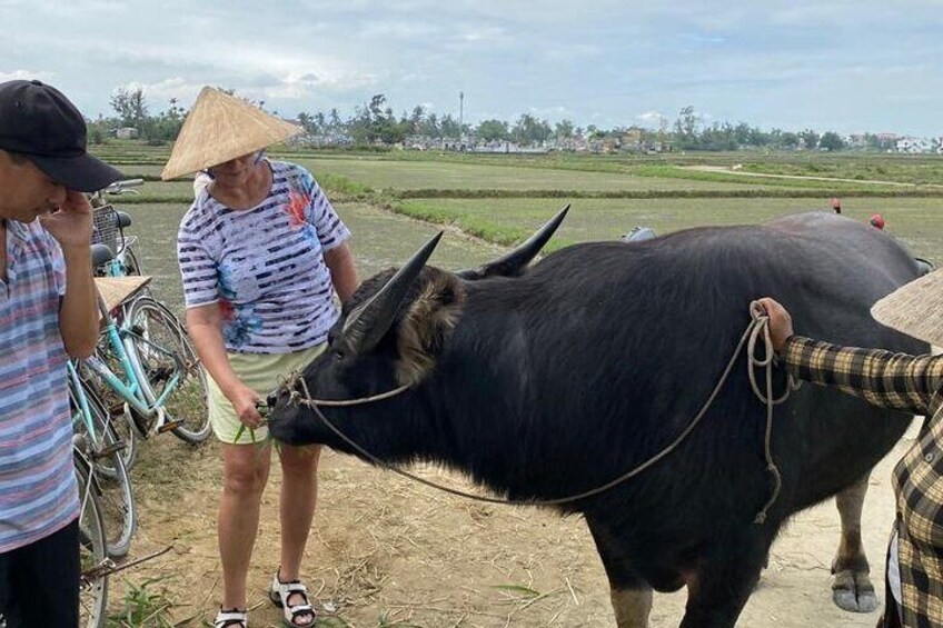 Experience Buffalo riding & farming w Local Farmer