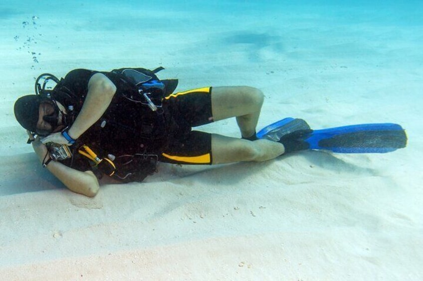 Scuba Diving Open Water PADI Course, Diving licence Fees - Sharm El Sheikh