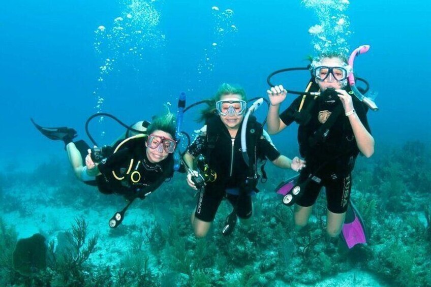 Scuba Diving Open Water PADI Course, Diving licence Fees - Sharm El Sheikh