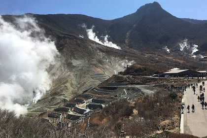 Hakone one-day tour with views and Onsen hot spring!