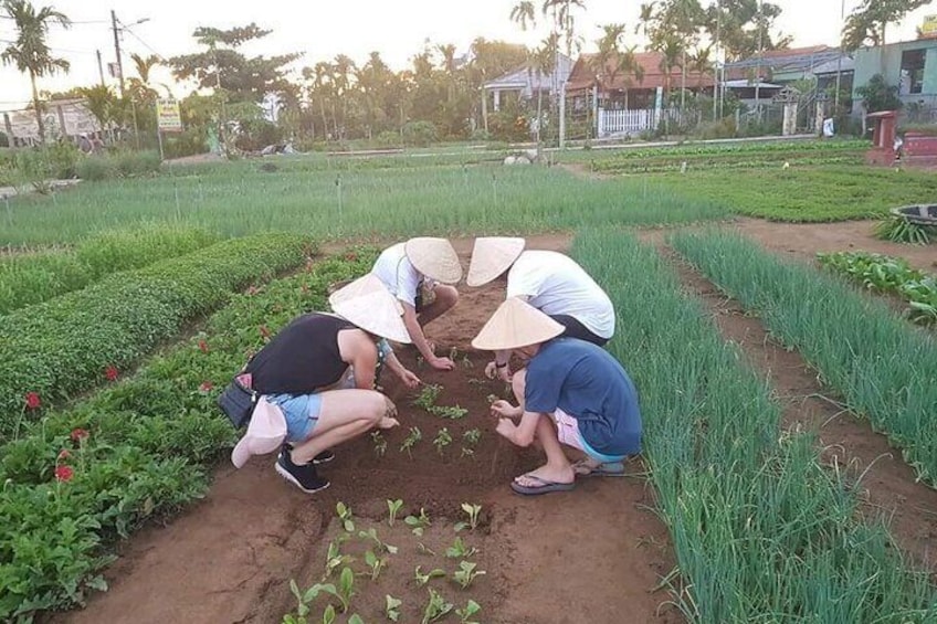 Hoi An Lantern Making Class and Silk Weaving- Vegetable Farming Private Tour