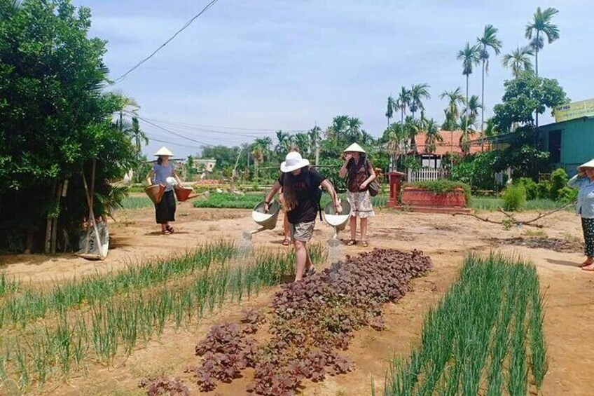 Hoi An Lantern Making Class and Silk Weaving- Vegetable Farming Private Tour