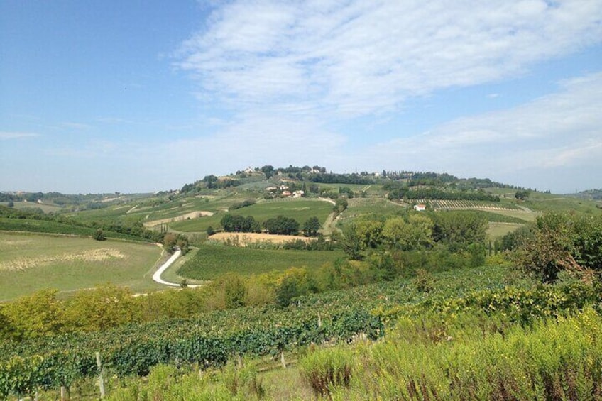 Tuscany and Wine Tasting Private Tour from Livorno