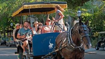 Horse-Drawn Carriage Tour of Historic Charleston