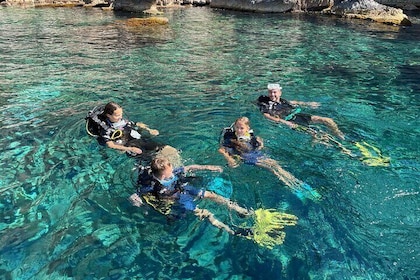 Taormina Scuba Diving Experience