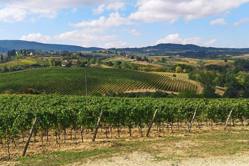 Private Wine Tour: Siena and Chianti with Lunch & Wine Tasting Experience