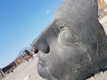 Small Group Pompeii & Naples Full-Day Tour with lunch