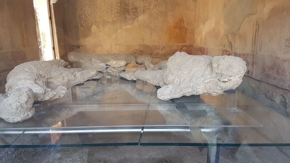 Small Group Pompeii & Naples Full-Day Tour with lunch