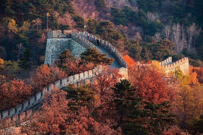 3-Day Private Beijing Highlights Tour from Shanghai by Bullet Train