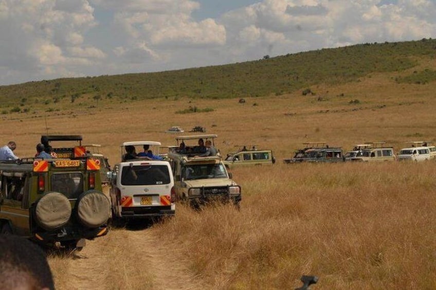  From Nairobi: 3 Days Masai mara Joining safari 