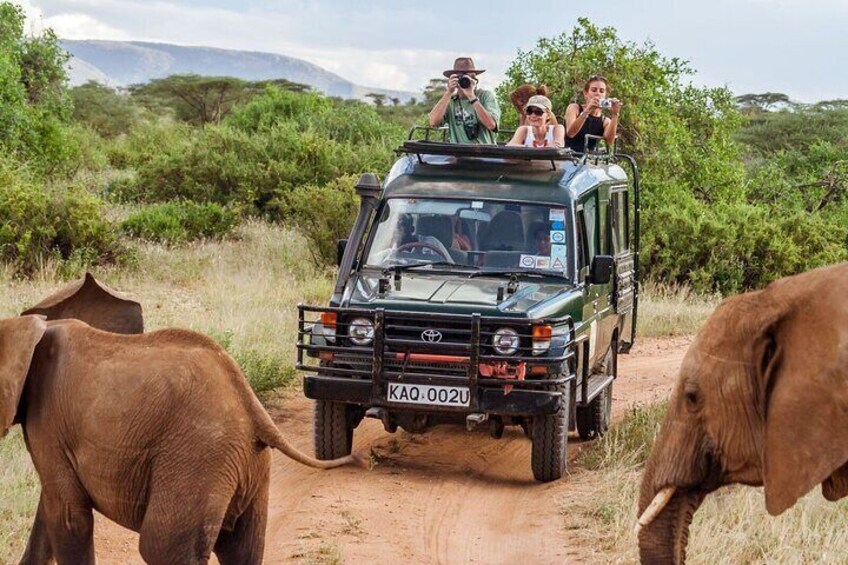  From Nairobi: 3 Days Masai mara Joining safari 