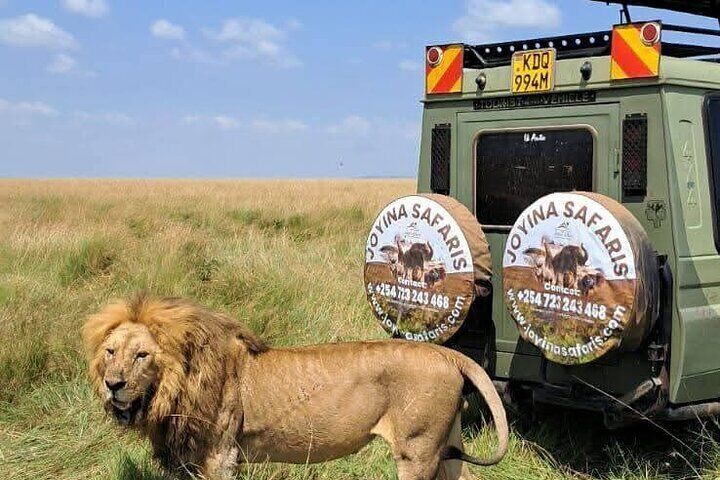 3Days 2Nights Masai Mara group Safari, Midrange camp &4WD 