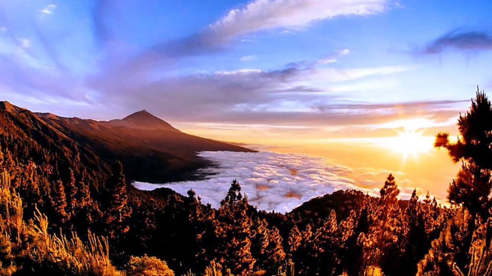 Foto 1 van 5. Mountain and trees above the fog at sunrise in Teide National Park