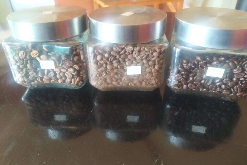 Coffee Farming Tour in kenya