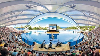 Teide National Park Tour with Loro Parque Admission
