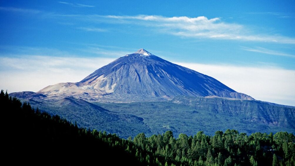 Foto 3 van 4. Mountain and surrounding forest of Teide National Park