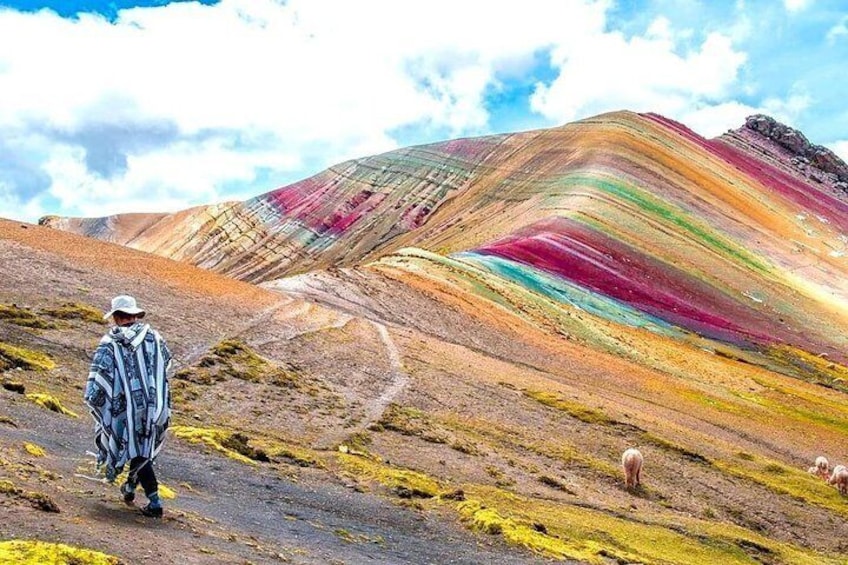 Full-Day Guided Tour to Palcoyo Rainbow Mountain with Lunch