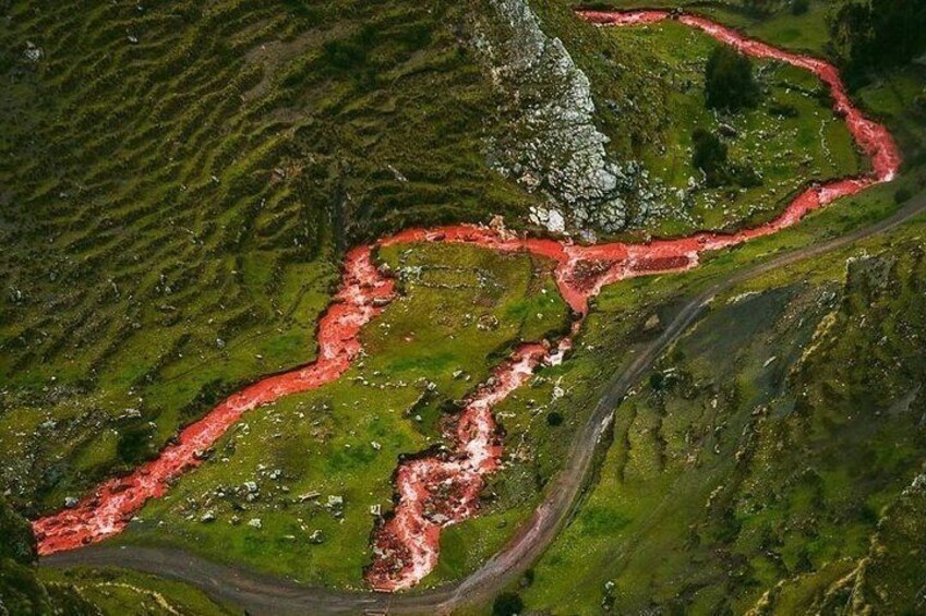 Full-Day Guided Tour to Palcoyo Rainbow Mountain with Lunch