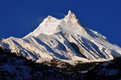 Manaslu Trekking Larke Pass