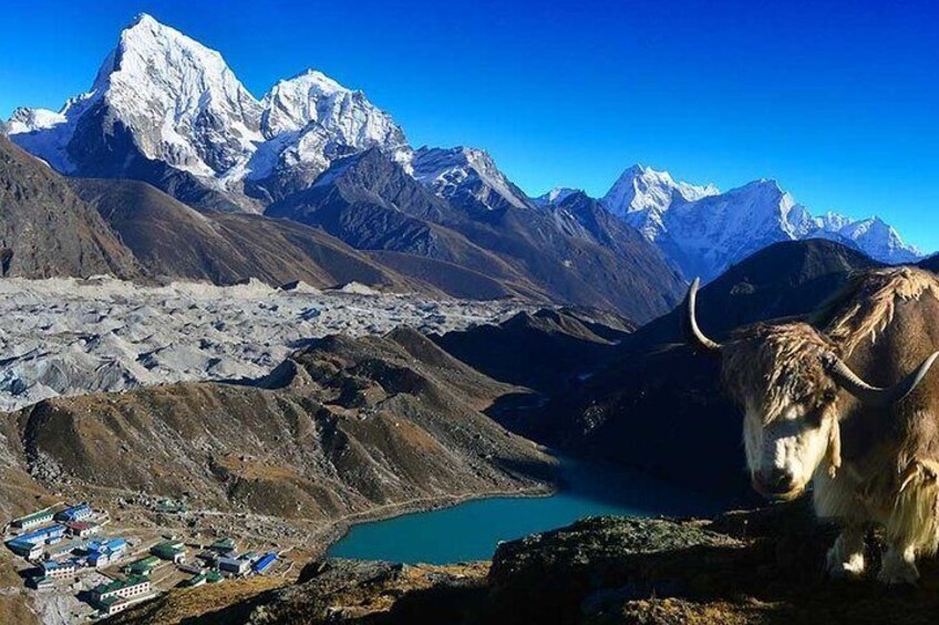 Gokyo Lake 4800m.