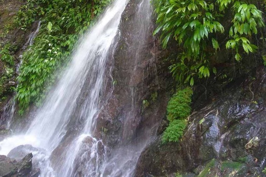 Campesinos Waterfalls and Hanging Bridges from Manuel Antonio