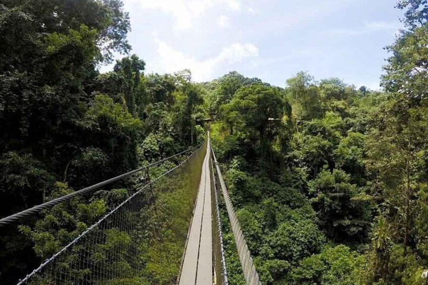 Campesinos Waterfalls and Hanging Bridges from Manuel Antonio
