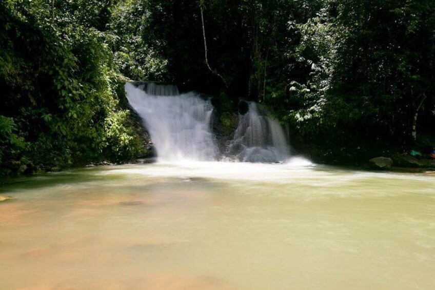 First natural pool